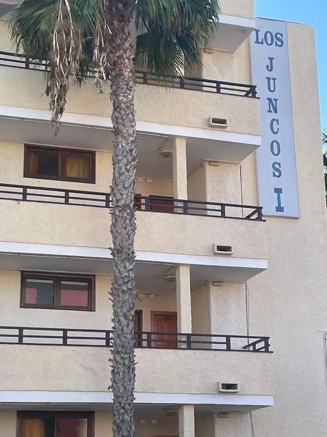 Juncos I Apartment San Bartolome de Tirajana  Spain